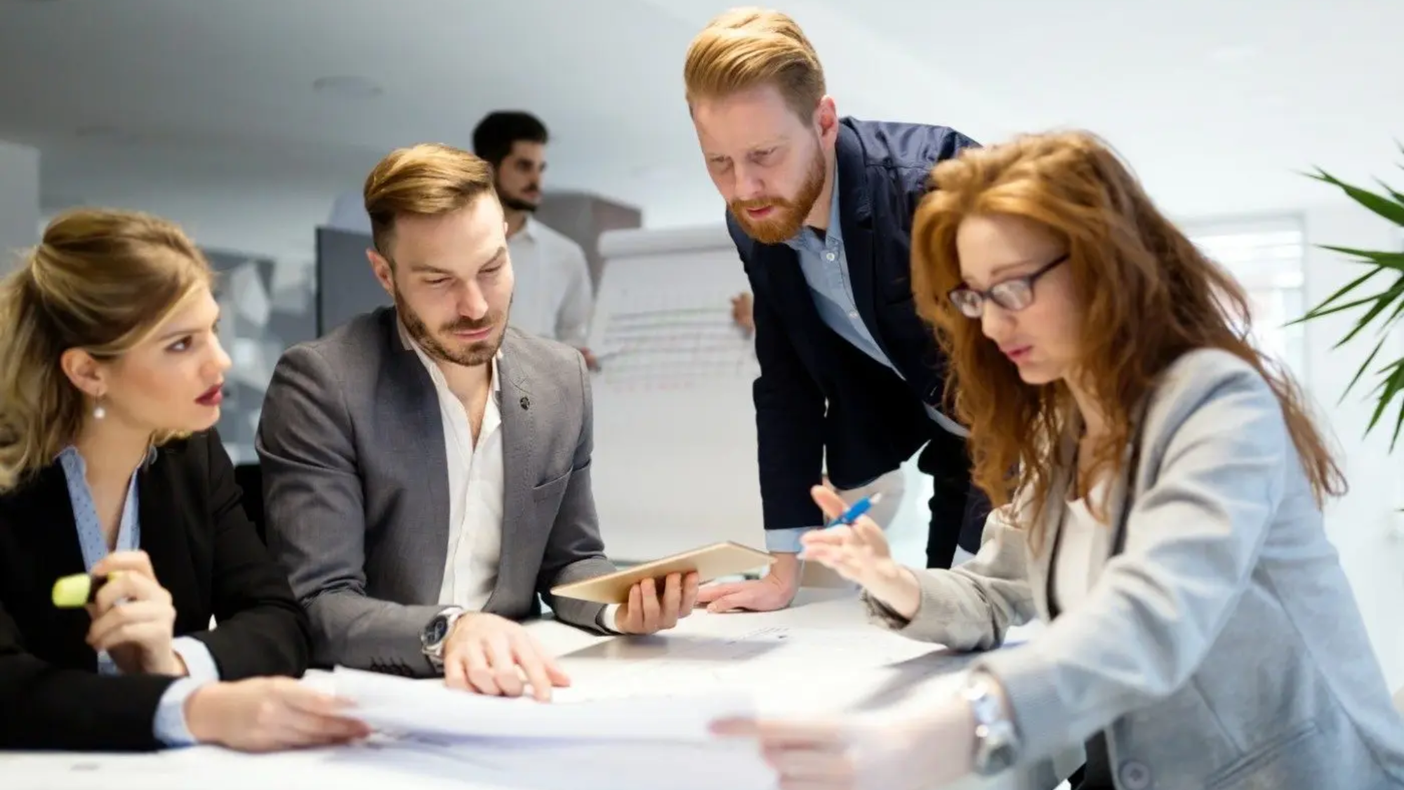 demo-attachment-1178-business-people-working-together-on-project-and-B3MZ4TX